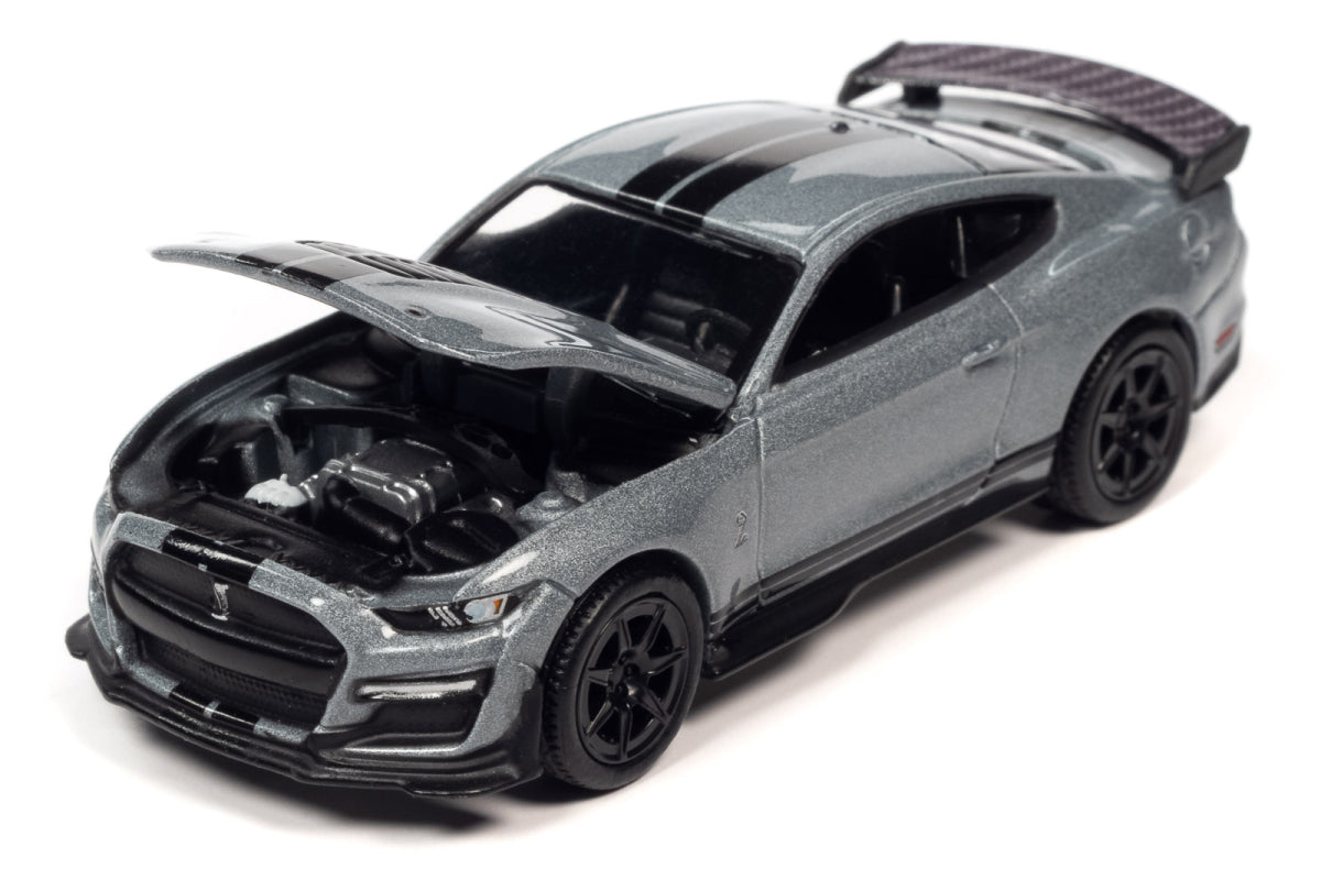 2021 Shelby GT500 - Carbon Edition (Iconic Silver)