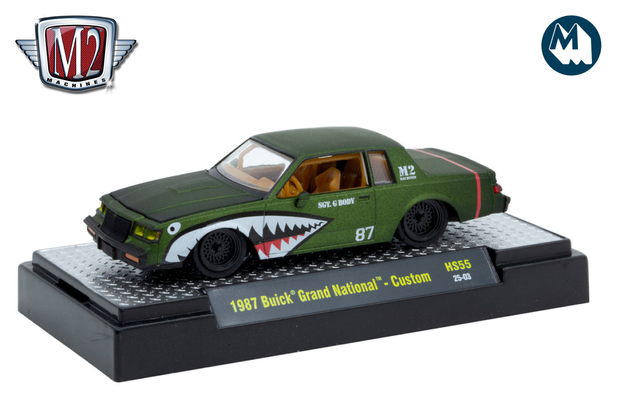 M2 Hobby Specials - 1987 Buick Grand National Custom "Shark Mouth"