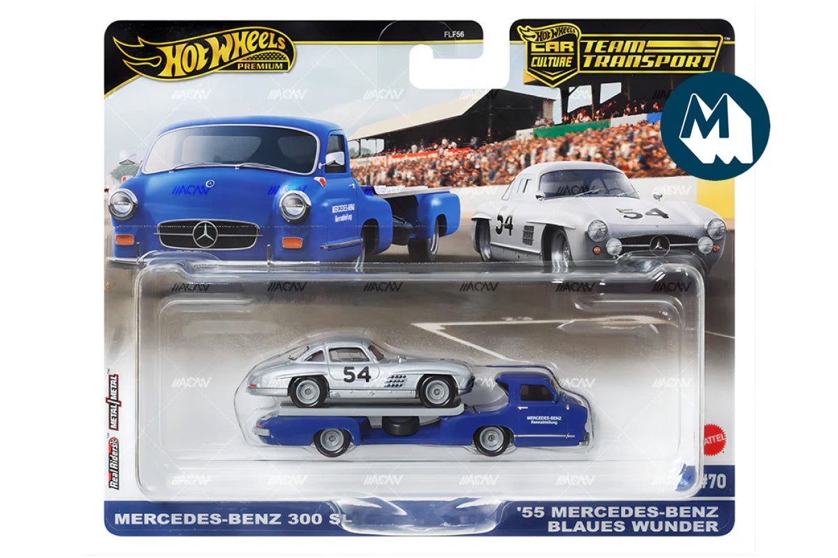HOT WHEELS 2024 Team Transport #69 Nissan Skyline GT-R LBWK (PRÉ-VENTE HOT WHEELS 2024 Team Transport #69 Nissan Skyline GT-R LBWK (PRÉ-VENTE