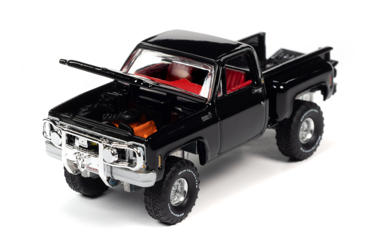 1980 Chevrolet Custom Deluxe 10 Step Side Truck (Gloss Black & Front Push Bar)