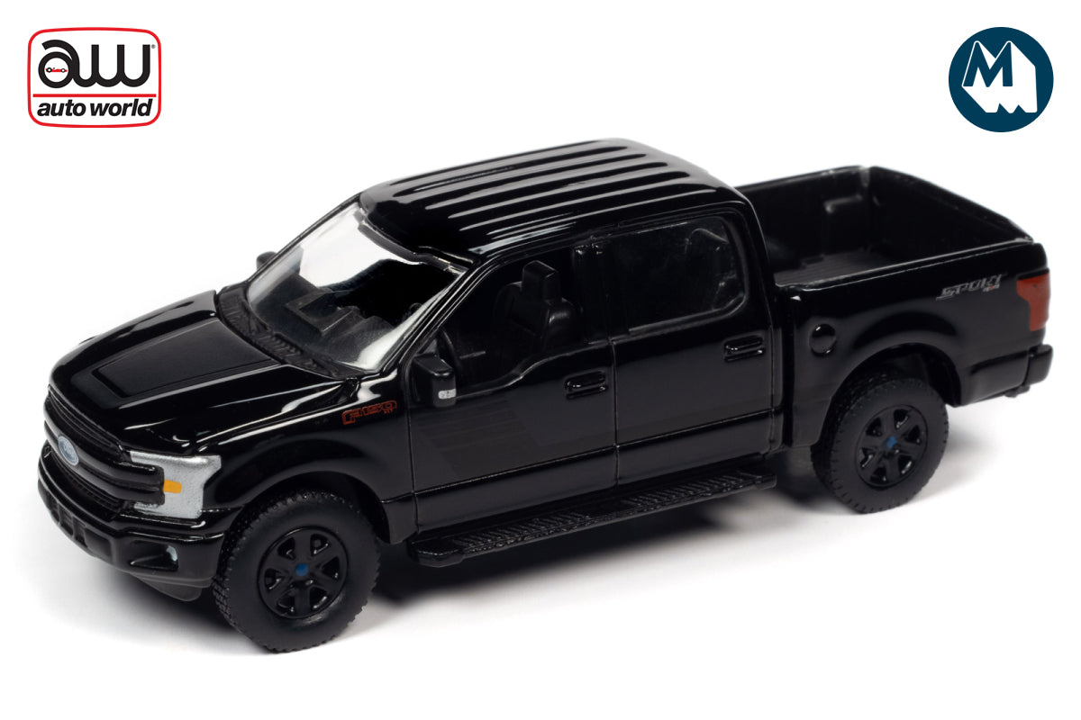 2019 Ford F-150 XLT Sport (Gloss Black w/Black Hood & Side Stripes)
