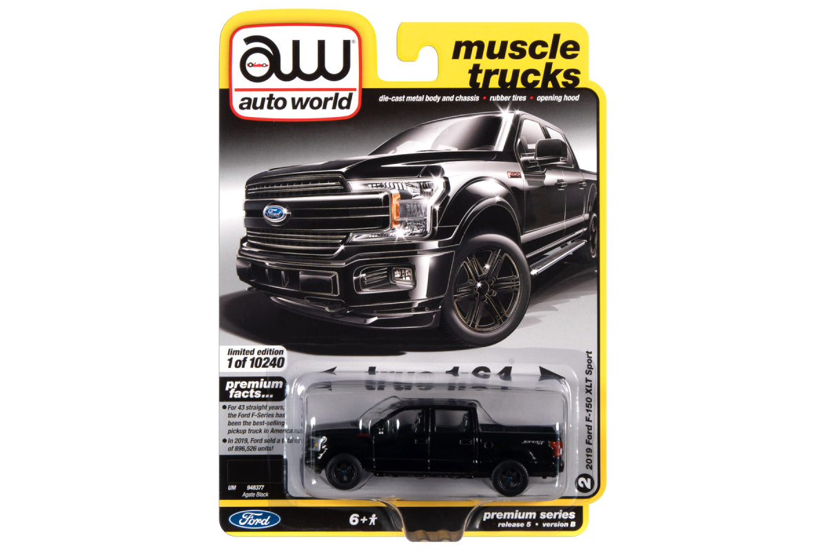 2019 Ford F-150 XLT Sport (Gloss Black w/Black Hood & Side Stripes)