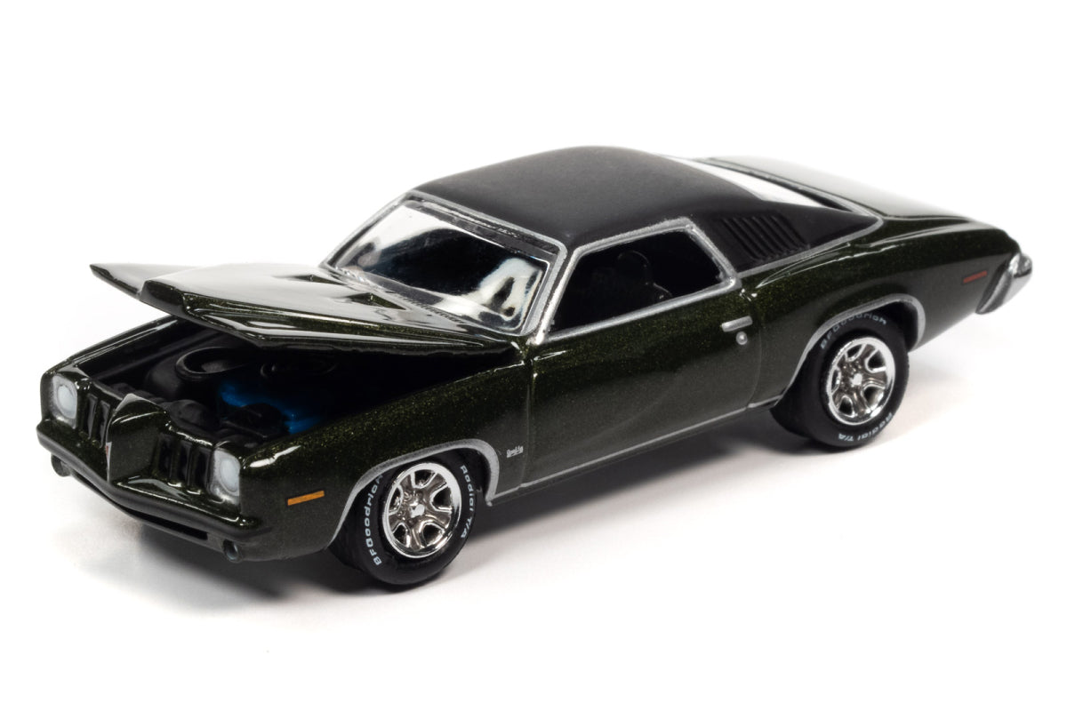 1973 Pontiac Grand Am (Golden Olive Poly)