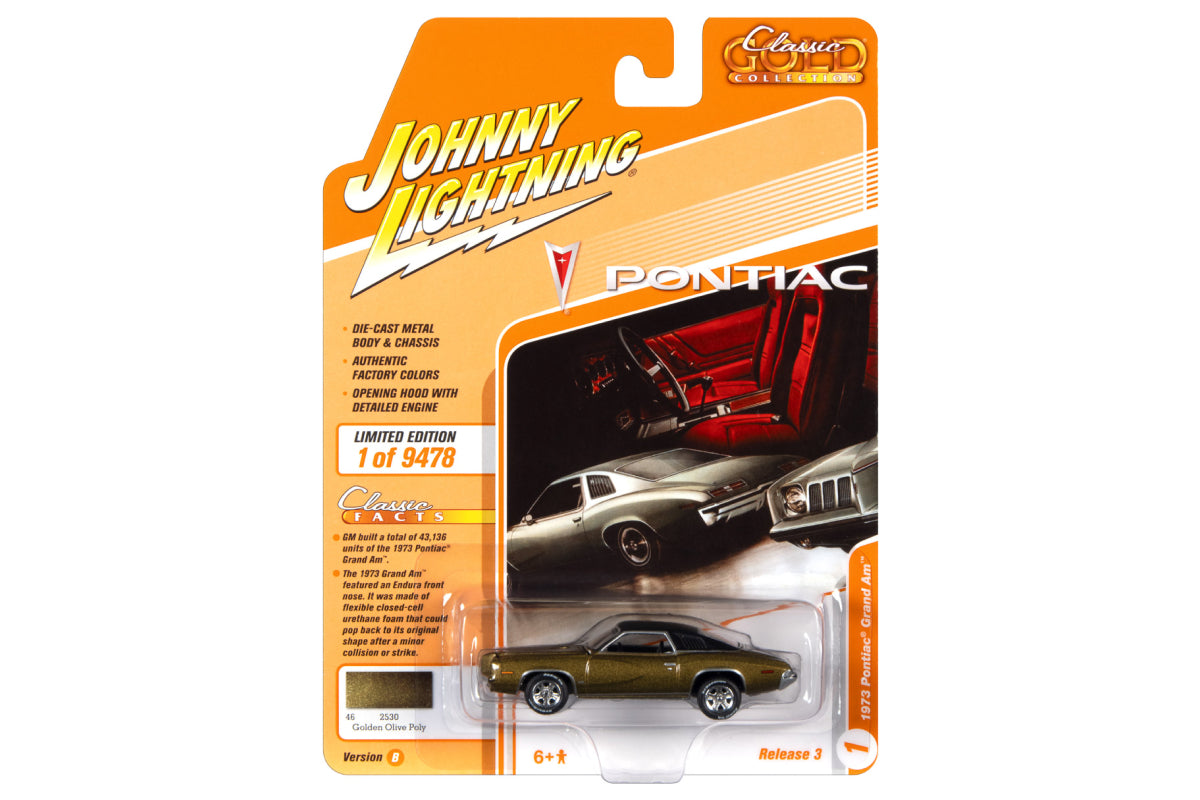 1973 Pontiac Grand Am (Golden Olive Poly)
