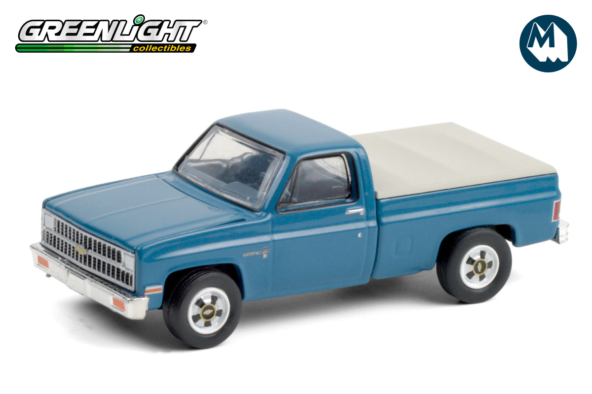 1981 Chevrolet Custom Deluxe 20 with Bed Cover - Light Blue Poly