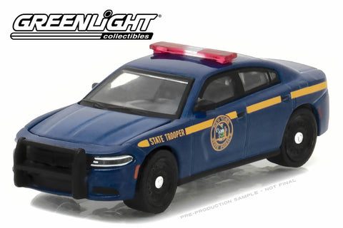 2016 Dodge Charger Pursuit / New York State