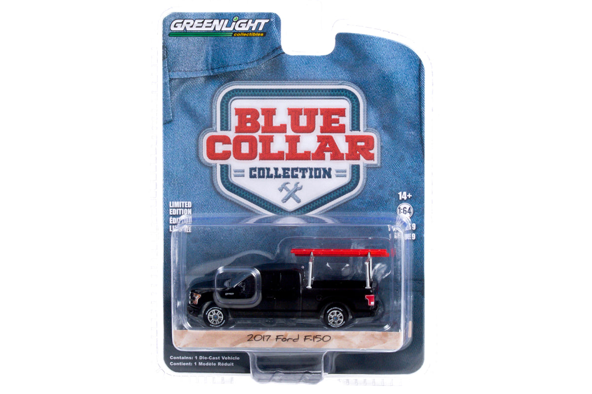 2017 Ford F-150 with Ladder Rack