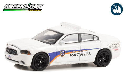 2014 Dodge Charger - Kennedy Space Center (KSC) Security Patrol