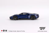 #614 - Ford GT (Sunoco Blue)