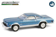 1973 Chevrolet Chevelle SS 454 (Light Blue Metallic & Silver)