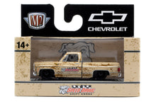 M2 Auto-Thentics 100 - 1973 Chevrolet Cheyenne Super 10