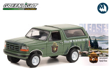 1996 Ford Bronco "Please! Only You Can Prevent Forest Fires"