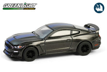 2017 Ford Shelby GT350 (Magnetic with Blue Stripes)