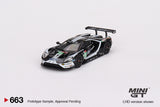 #663/664/665/667 - Ford GT LMGTE PRO 2019 24 Hrs of Le Mans Ford Chip Ganassi Team (4 Cars Set)