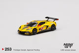 #253 - Chevrolet Corvette C8.R #3 2020 IMSA 24 Hrs of Daytona