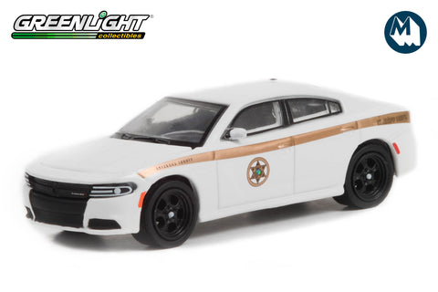 2015 Dodge Charger Pursuit / Absaroka County Sheriff's Department