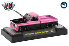 1979 Chevrolet Scottsdale Chevy Sport (31500-HS05)