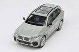 BMW X5 (Nardo Grey)