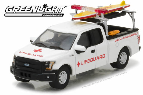 2016 Ford F-150 with Lifeguard Accessories
