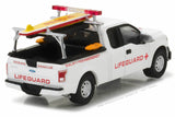 2016 Ford F-150 with Lifeguard Accessories