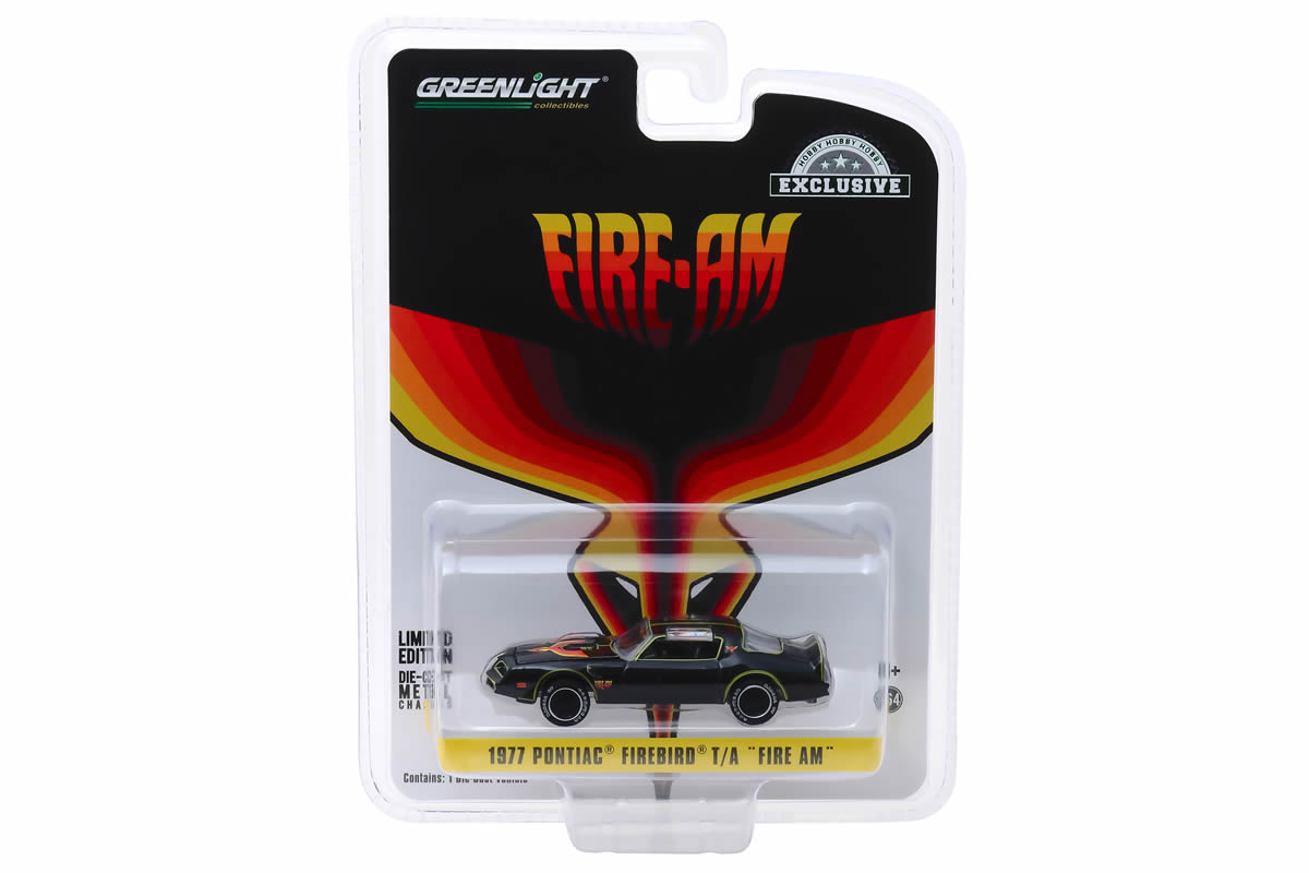 1977 Pontiac Firebird "Fire Am" by Very Special Equipment (VSE) - Black with Hood Bird