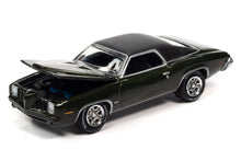 1973 Pontiac Grand Am (Golden Olive Poly)