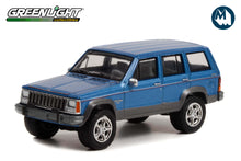 1991 Jeep Cherokee - Jeep 80th Anniversary Edition