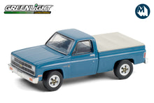 1981 Chevrolet Custom Deluxe 20 with Bed Cover - Light Blue Poly