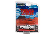Thelma & Louise / 1983 Ford LTD Crown Victoria - Arizona Highway Patrol