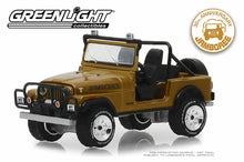 1982 Jeep CJ-7 (30th Anniversary Jamboree)