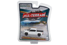 2020 Chevrolet Silverado RST Rally Edition (Summit White with Black Stripes)