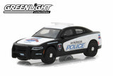 2017 Dodge Charger Pursuit / Windsor, Ontario, Canada (150th Anniversary Edition)