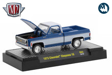 1973 Chevrolet Cheyenne 10